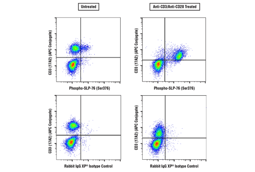 Flow Cytometry Image 3: Phospho-SLP-76 (Ser376) (E3G9U) XP® Rabbit mAb (BSA and Azide Free)