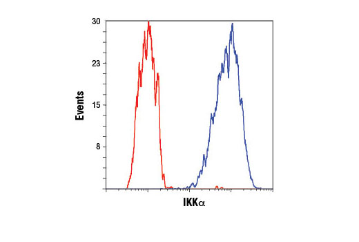 Flow Cytometry Image 1: IKKα (3G12) Mouse mAb (BSA and Azide Free)