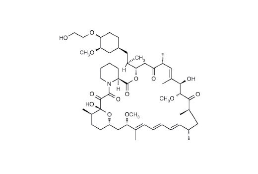  Image 3: Everolimus