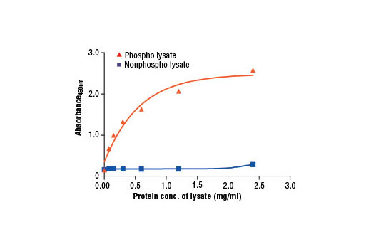  Image 2: PathScan® Phospho-c-Abl (Tyr412) Sandwich ELISA Kit