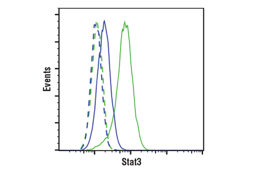  Image 9: PhosphoPlus® Stat3 (Tyr705) Antibody Duet