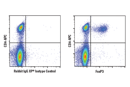 Flow Cytometry Image 1: FoxP3 (D6O8R) Rabbit mAb