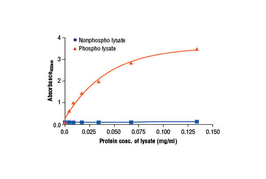  Image 2: PathScan® Phospho-Ron (panTyr) Sandwich ELISA Kit