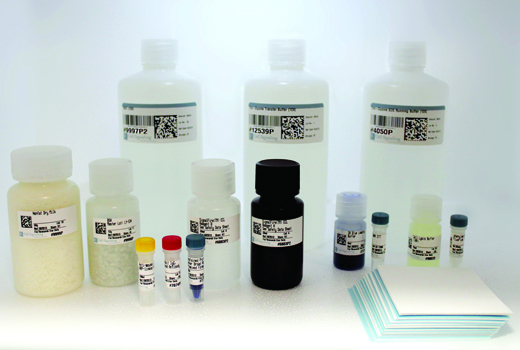  Image 1: Western Blotting Application Solutions Kit