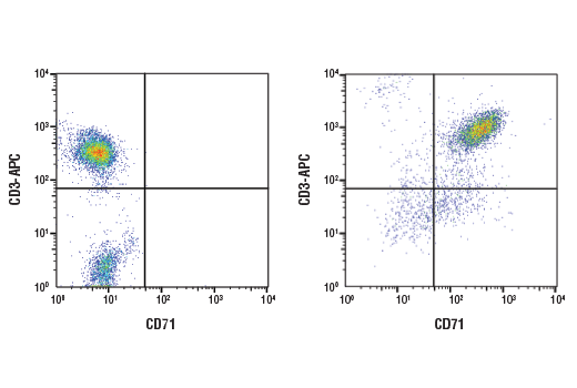 Flow Cytometry Image 1: CD71 (D7G9X) XP® Rabbit mAb