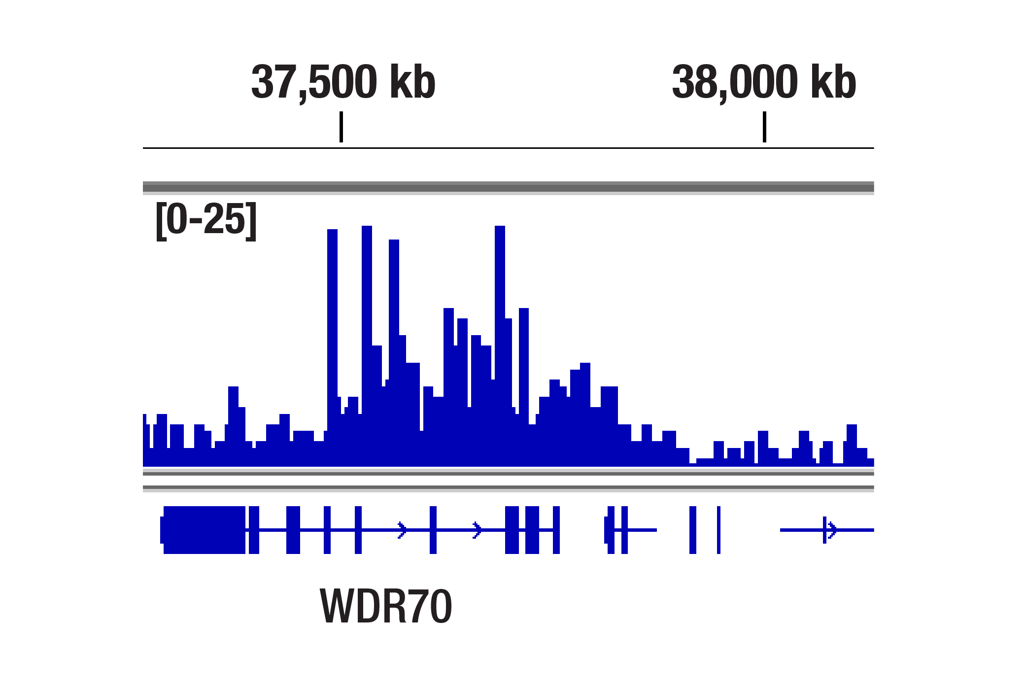  Image 3: Methyl-Histone H3 (Lys36) Antibody Sampler Kit