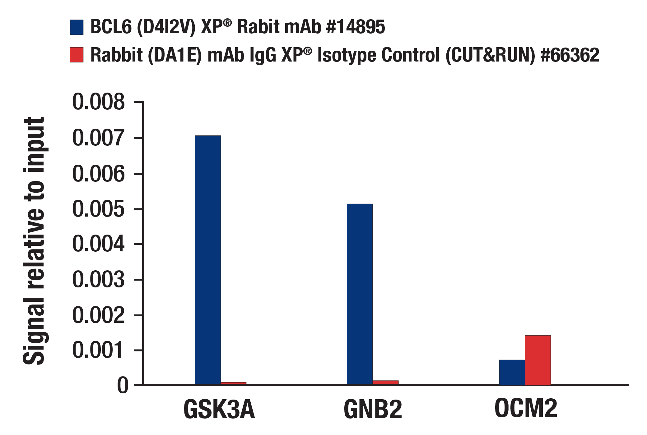 CUT and RUN Image 3: BCL6 (D4I2V) XP® Rabbit mAb