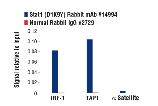  Image 49: IFN (Type I/III) Signaling Pathway Antibody Sampler Kit