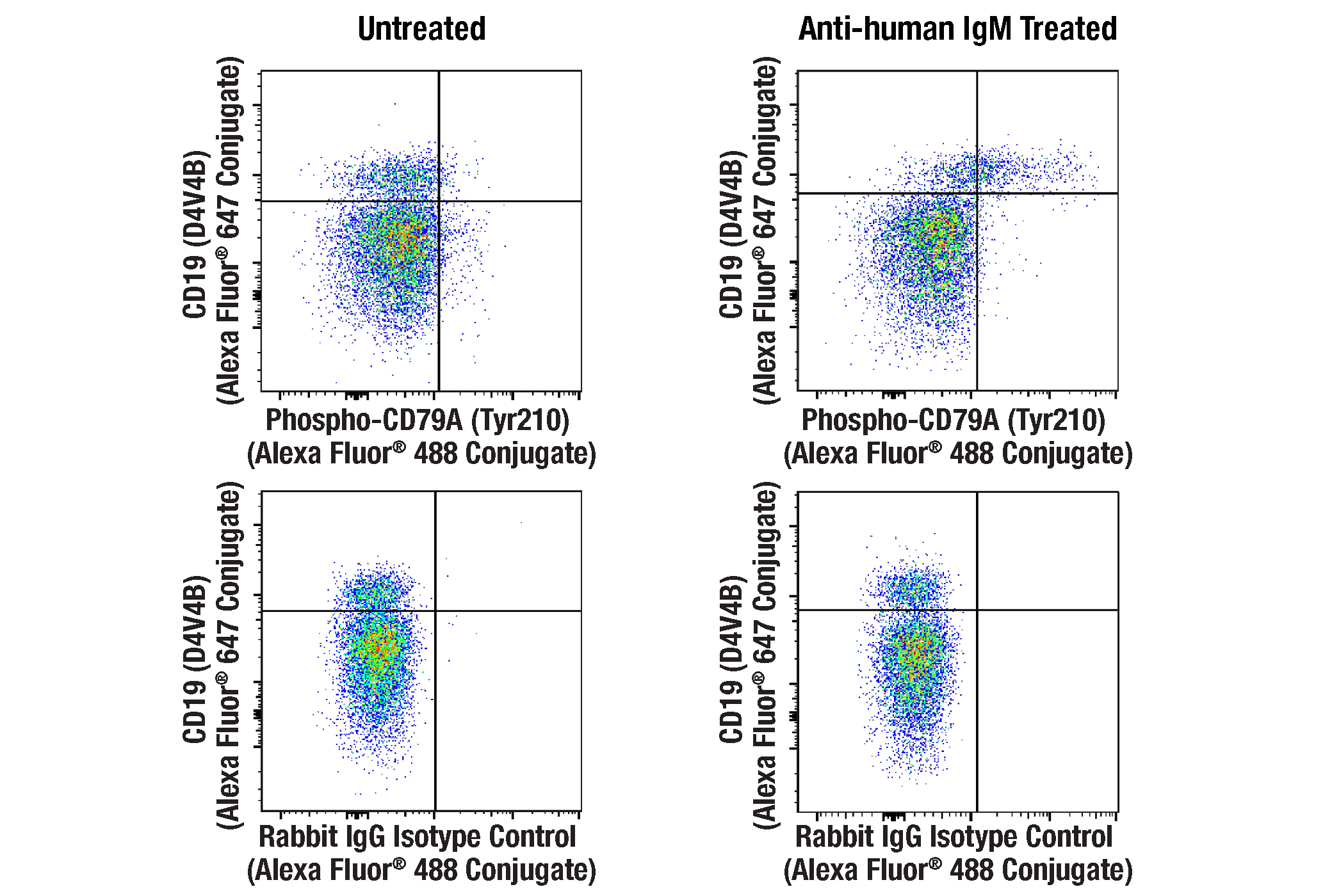 Flow Cytometry Image 1: Phospho-CD79A (Tyr210) (E8E9Z) Rabbit mAb (Alexa Fluor® 488 Conjugate)