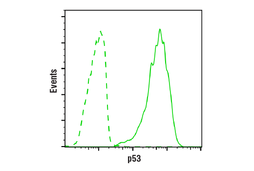  Image 27: p53 Antibody Sampler Kit