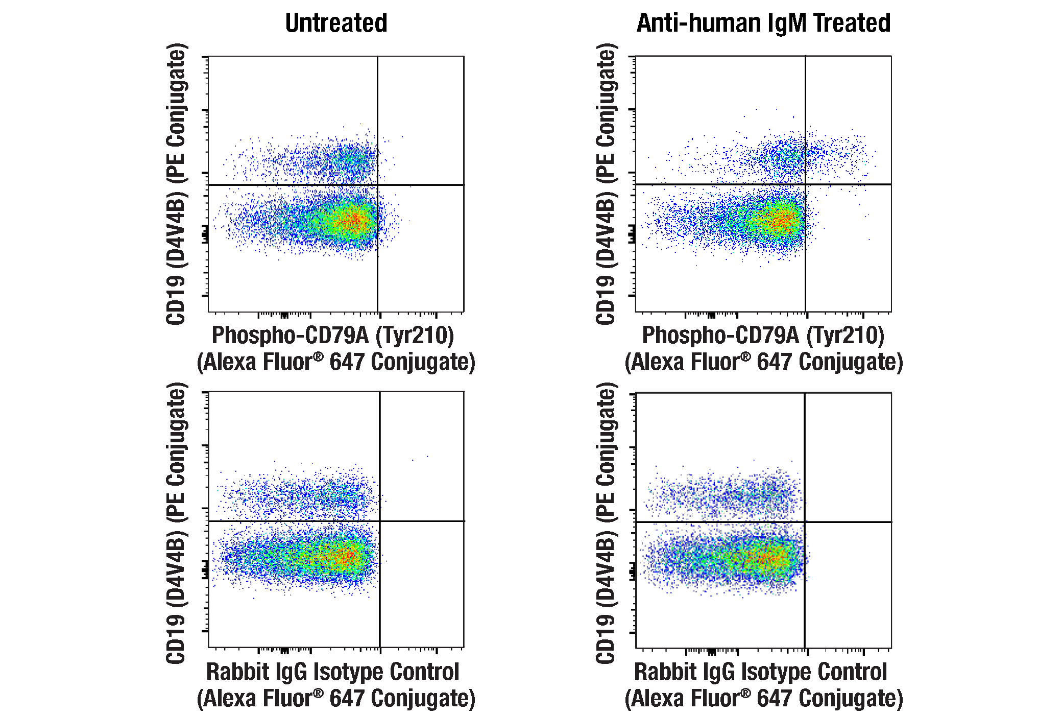 Flow Cytometry Image 1: Phospho-CD79A (Tyr210) (E8E9Z) Rabbit mAb (Alexa Fluor® 647 Conjugate)