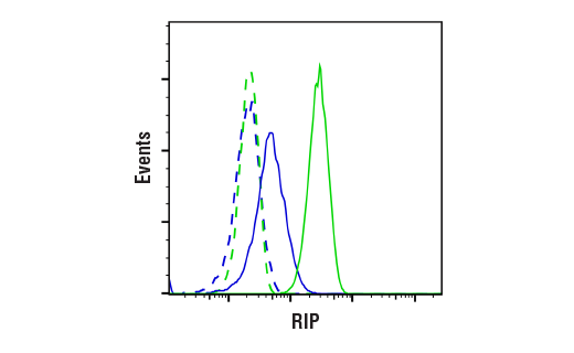 Flow Cytometry Image 1: RIP (D94C12) XP® Rabbit mAb (BSA and Azide Free)