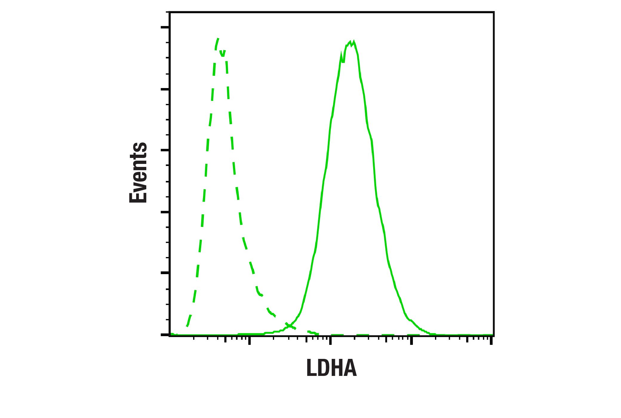  Image 2: Glycolysis Antibody Sampler Kit