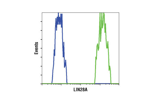  Image 22: StemLight™ iPS Cell Reprogramming Antibody Kit