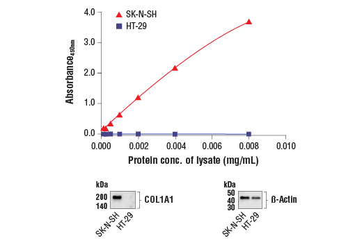  Image 1: FastScan™ COL1A1 ELISA Kit