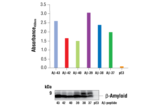  Image 1: FastScan™ β-Amyloid ELISA Kit