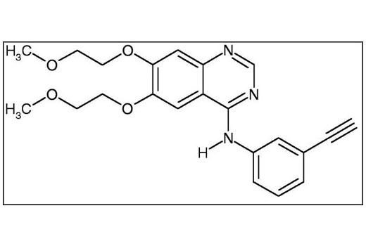  Image 2: Erlotinib