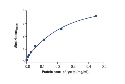  Image 2: PathScan® Total HDAC4 Sandwich ELISA Kit