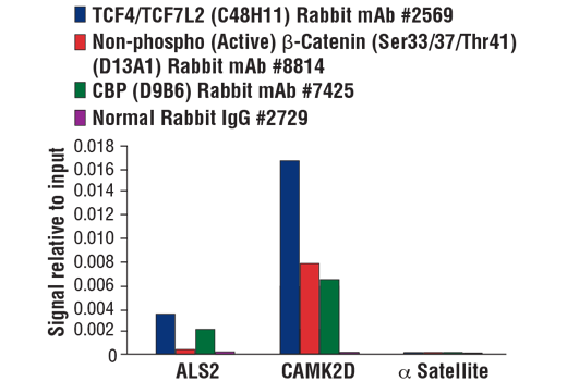 Chromatin Immunoprecipitation Image 2: SimpleChIP® Plus Sonication Chromatin IP Kit