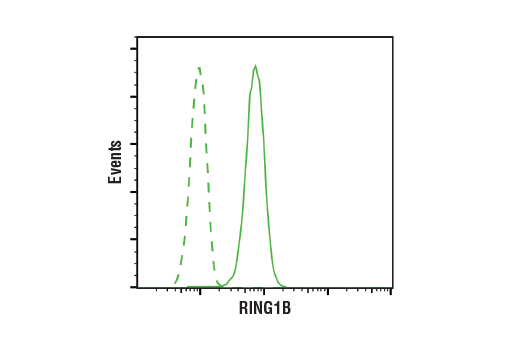  Image 30: Polycomb Group Antibody Sampler Kit