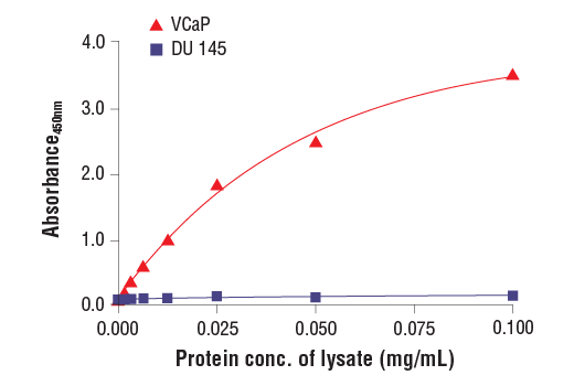  Image 2: PathScan® RP Androgen Receptor (Carboxy-terminal Antigen) Sandwich ELISA Kit