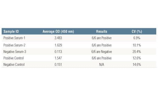  Image 3: SARS-CoV-2 Spike Protein Serological IgA ELISA Kit