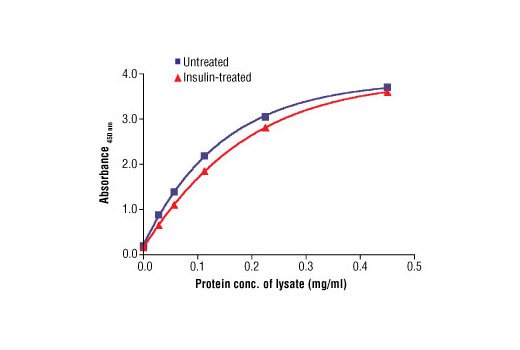  Image 3: PathScan® Total Akt2 Sandwich ELISA Kit