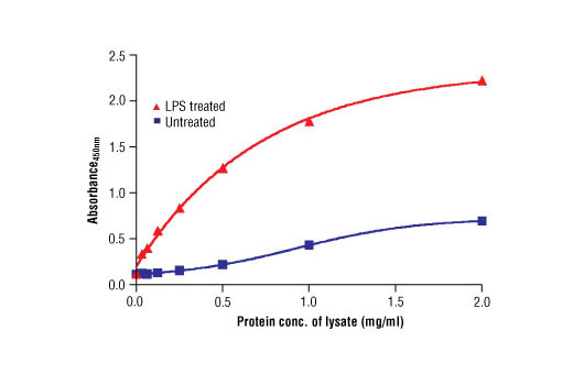  Image 2: PathScan® Phospho-IKKα (Ser176/180) Sandwich ELISA Kit