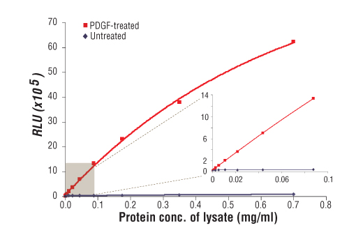  Image 1: PathScan® Phospho-Akt (Thr308) Chemiluminescent Sandwich ELISA Kit