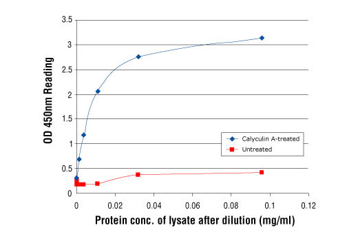  Image 2: PathScan® Phospho-Histone H3 (Ser10) Sandwich ELISA Kit