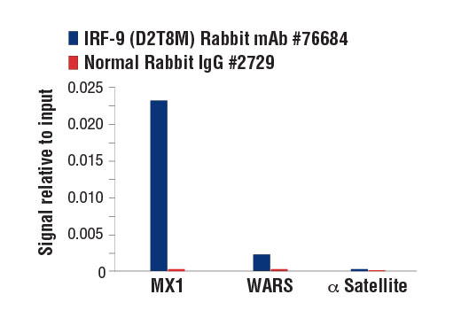  Image 43: IFN (Type I/III) Signaling Pathway Antibody Sampler Kit