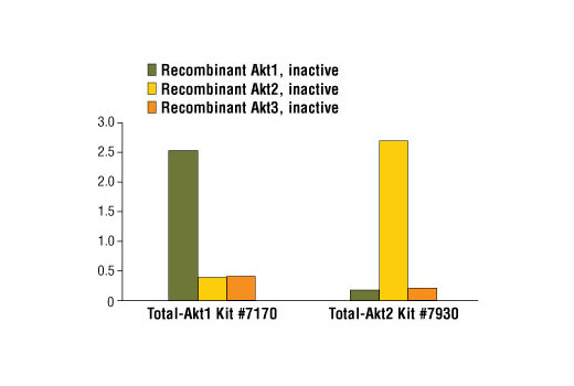  Image 2: PathScan® Total Akt2 Sandwich ELISA Kit