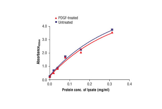  Image 3: PathScan® Total Akt2 Sandwich ELISA Kit