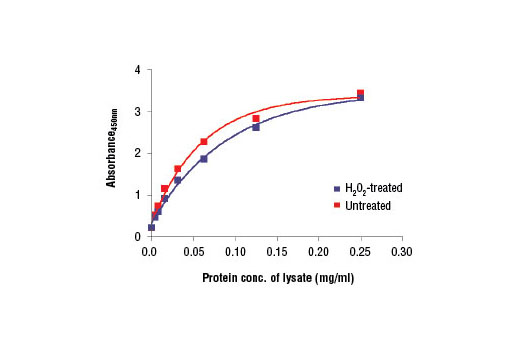  Image 2: PathScan® Total Acetyl-CoA Carboxylase Sandwich ELISA Kit