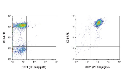 Flow Cytometry Image 1: CD71 (D7G9X) XP® Rabbit mAb (PE Conjugate)