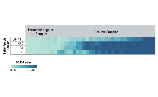  Image 9: SARS-CoV-2 Spike Protein Multi-Domain (S1-NTD, RBD, S1, S2) Serological IgG ELISA Kit