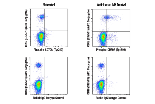 Flow Cytometry Image 1: Phospho-CD79A (Tyr210) (E8E9Z) Rabbit mAb