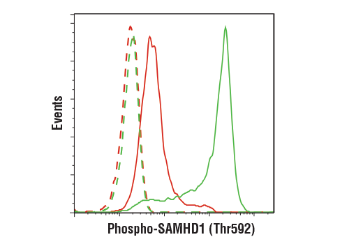  Image 30: Host Cell Viral Restriction Factor Antibody Sampler Kit