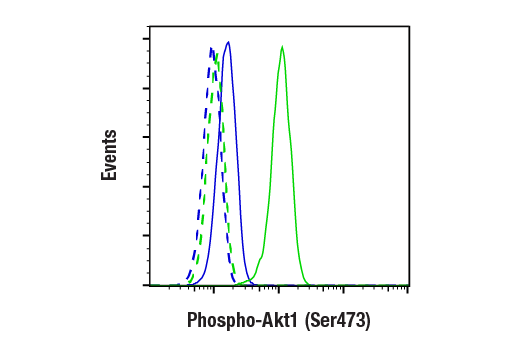  Image 4: Phospho-Akt Isoform Antibody Sampler Kit