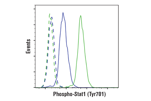 Flow Cytometry Image 1: Phospho-Stat1 (Tyr701) (58D6) Rabbit mAb