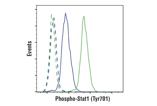  Image 53: Human Reactive M1 vs M2 Macrophage IHC Antibody Sampler Kit