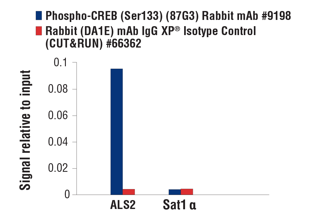  Image 74: Cannabinoid Receptor 1 Downstream Signaling Antibody Sampler Kit