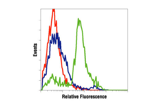  Image 2: Phospho-Histone H3 (Ser10) Antibody