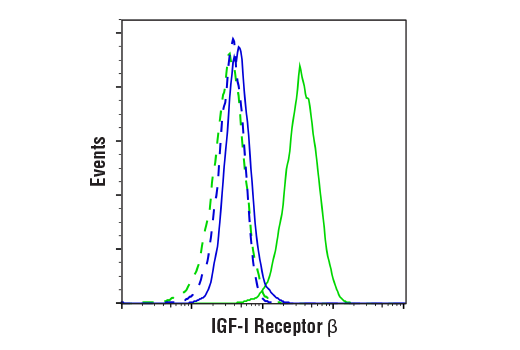  Image 12: Phospho-Insulin/IGF Receptor Antibody Sampler Kit