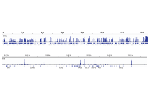  Image 50: Tri-Methyl Histone H3 Antibody Sampler Kit