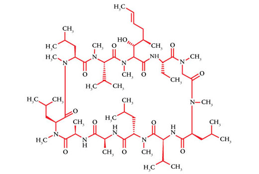  Image 2: Cyclosporin A