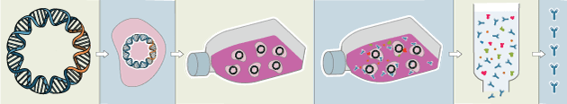 recombinant-modal-info